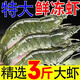販鮮灣【新日期】新鮮大蝦超大大蝦海鮮鮮活冷凍水產(chǎn)白蝦青蝦基圍蝦凍蝦 16-18厘米新鮮大蝦 3斤(凈重)