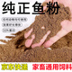 魚(yú)粉魚(yú)骨粉補鈣牛骨粉寵物狗糧雞鴨鵝鵪鶉鳥(niǎo)豬禽畜飼料添加劑飼料 魚(yú)骨粉 2斤