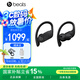 beats Powerbeats Pro 無(wú)線(xiàn)藍牙耳機 掛耳式運動(dòng)耳機 安卓蘋(píng)果兼容 入耳式魔音藍牙耳麥 黑色