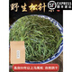 內(nèi)廷上用松針中藥材500g新鮮葉干長白山中藥馬尾松特級干松針茶