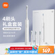 米家小米電動牙刷T302成人/學(xué)生 4種凈齒模式 150天續(xù)航 4支刷頭 銀灰色送男友/女友 父親節(jié)節(jié)日禮物