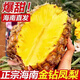 悅己海南金鉆鳳梨菠蘿/鳳梨當(dāng)季應(yīng)季時令生鮮水果整箱小果中果 鳳梨2.5-3斤裝（1-2個中果）