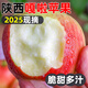 陜西禮泉早熟紅蘋(píng)果 應(yīng)當(dāng)季水果紅富士脆甜美八晨陽(yáng)正宗嘎啦蘋(píng)果 陜西紅蘋(píng)果3斤60-65mm約15個(gè)