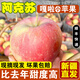 驕瑰新疆阿克蘇嘎啦小蘋(píng)果 可選順豐快遞 紅富士蘋(píng)果現(xiàn)摘現(xiàn)發(fā)新疆直發(fā) 小果彩箱60-70mm(18-22枚左右）4.5斤 中通快遞