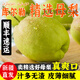 采緹 新疆庫爾勒香梨 新鮮10斤現(xiàn)摘應(yīng)當(dāng)季孕婦水果特級全母梨子中秋 9斤大果