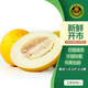 沙水林田精選磴口華萊士瓜黃金哈密瓜內(nèi)蒙特產(chǎn)8-9斤當(dāng)天新鮮水果現(xiàn)摘現(xiàn)發(fā) 精品華萊士瓜2箱