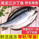 東北沙丁魚(yú)遼寧山東野生青魚(yú)海魚(yú)懶人之寶新鮮燒烤食材 2500g 帶籽帶油無(wú)冰凈重5斤（9-11條） 海捕青魚(yú)【200/300g條】