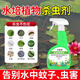 九品祥水培植物殺蟲(chóng)劑水蓮滅蚊子幼蟲(chóng)卵孑孓富貴竹荷花池塘除水里的蟲(chóng)