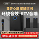 麥樂迪K506家庭ktv音響套裝回音壁無線藍(lán)牙電視音箱家庭影院卡拉ok一體機(jī)家用k歌全套設(shè)備 K503_洞悉萬音版+演出級話筒