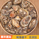 饞咄咄高品質(zhì)鱷魚干 煲湯鱷魚肉干 純手工切割烘干生曬鱷魚肉干煲湯食材 鱷魚腿、尾骨肉干500克（送料包