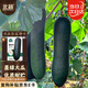 北蔬 黑皮冬瓜種子苗巨型黑皮特大好吃菜園蔬菜種籽 黑皮冬瓜種子50粒