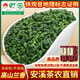 惠聚春秋安溪正宗鐵觀音新茶2025特級(jí)濃香蘭花香烏龍茶葉小泡袋自己喝送禮 濃香鐵觀音500g【爆款新茶】