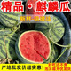 源頭直采夏邑頭茬8424麒麟西瓜新鮮水果冰糖脆甜薄夏季生鮮沙瓤瓜 甄選瓜王 | 凈重10斤+ 有籽/無籽隨機(jī)發(fā)貨