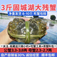 【活蟹/殘蟹】3斤 8-10只固城湖大閘蟹斷腿掉腳公蟹母蟹 性價比款 B 全公蟹 8-9 只 凈重3斤