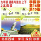 現貨2025秋/25春學習探究診斷 九年級道德與法治上冊第16版 下冊第15版 2本全套裝 北京西城學探診初中同步練習初三政治思想品德道法9年級九上九下九政上、下