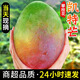 四川攀枝花凱特芒果新鮮水果5斤當(dāng)季整箱包郵特大10青忙禮盒芒果 凈重4.5斤大果（400g+）