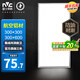 雷士照明（NVC） 集成吊頂led燈廚房燈衛(wèi)生間燈面板鋁扣板廁所廚衛(wèi)浴室嵌入式300 長(zhǎng)方形30*60cm-拉絲銀24W正白光