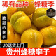 勇者無懼正宗貴州蜂糖李子水果【JD順豐-多地次日達】2/5斤脆李脫骨李子 中果 單果20-30g（10%人推薦） 2斤（凈重）嘗鮮 禮盒裝