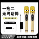 岑迷無(wú)線(xiàn)麥克風(fēng)一拖二 直播話(huà)筒廣場(chǎng)舞戶(hù)外舞臺家用KTV動(dòng)圈麥克風(fēng)H 金色一拖二套裝