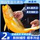 鮮喜利舟山大黃魚禮盒深海黃花魚鮮活冷凍生鮮海鮮年貨禮包新鮮水產(chǎn)商用 2條無(wú)禮盒（單條凈重1斤）