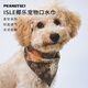 PeanutSci花生寵物釉繪三角口水巾中小型犬印花純棉方巾 S 綠色