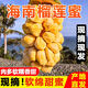 榴蓮蜜新鮮海南三亞特產(chǎn)熱帶水果軟糯香甜濕苞巴掌小榴蓮整個(gè)順豐 2-3斤(1-2個(gè))