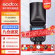 神牛（Godox） v1 閃光燈機(jī)頂外拍燈口袋燈便攜攝影高速TTL鋰電熱靴燈 圓燈頭v1閃光燈 適配佳能