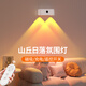 愛耐特夕陽紅人體感應落日燈充電遙控款網(wǎng)紅投影燈臥室客廳氛圍裝飾燈 遙控款-3600毫安（調(diào)光+定時）