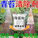 青苔清除劑水泥地面墻磚魚(yú)缸池塘去刷清理綠藻克星滅除青苔專(zhuān)用藥 【青苔當天凈】 500g 1袋