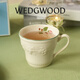 Wedgwood[11.11保價(jià)]歡愉假日馬克杯情侶對杯杯子水杯咖啡杯高顏值 歡愉假日樹(shù)莓馬克杯 1個(gè) 350ml