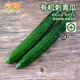 東升農(nóng)場(chǎng) 東升有機(jī)刺青瓜  有機(jī)黃瓜 廣州供港蔬菜新鮮配送 400g