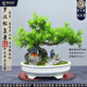 潮裕盆景迎客松羅漢松盆景客廳陽(yáng)臺(tái)造型綠植物造型高端盆景居家擺放好養(yǎng)護(hù) 羅漢松盆景25