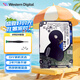 西部數(shù)據(jù)（WD） 藍(lán)盤2TB  2.5寸 sata3 2t 7mm筆記本機(jī)械盤存儲(chǔ)硬盤 WD20SPZX