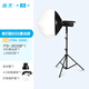 南光（NANLITE）FS-300B雙色溫直播補(bǔ)光燈 室內(nèi)影棚平面人像攝影燈 大功率視頻led常亮燈 專業(yè)高顯色拍攝燈 FS-300B+650柔光球+燈架