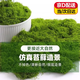 仿真苔蘚草皮青苔假草裝飾造景仿真綠植假草坪魚(yú)缸假山盆景造景用 絲狀苔蘚深綠色【50g】