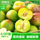 京鮮生四川宜賓半邊紅脆甜脫骨李4.5斤裝單果30g+新鮮水果 源頭直發(fā)