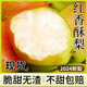 陜西紅香酥梨5斤新鮮梨子當季正宗香梨酥梨脆蜜雪梨特產(chǎn)整箱 4250g A+級【精品梨王】產(chǎn)量稀缺,鉑果甄選