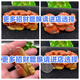 黃龍玉天然玉石貔貅掛件陰陽眼手把玩招財轉(zhuǎn)運(yùn)玉石貔貅做生意必備 更多招財貔貅【進(jìn)店選擇】 保真天然玉石云南產(chǎn)地直發(fā)
