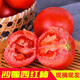 普羅旺斯西紅柿酸甜新鮮水果現(xiàn)摘當季草莓柿子自然熟生吃沙瓤番茄 特惠嘗鮮帶箱3斤裝 2.5斤