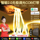 希爾登已接入米家智能app三色COB燈帶自粘24V低壓線性燈客廳led氛圍燈帶 20米燈帶+石墨烯智能電源+遙控