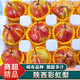 南步陜西彩虹梨 彩紅梨香梨大果薄皮梨子早酥蜜梨七彩紅啤梨新鮮水果 9斤 精選小果【單果約100g+】