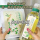 茉莉花茶包濃香型冷泡茶獨(dú)立包裝茉莉花茶茶包100包 [冷熱雙泡]茉莉茶包 [100包]冷熱雙泡花香濃郁