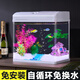 長銳小魚缸小型桌面客廳家用玻璃免換水迷你 CR380+綠野仙蹤景（仿真草）