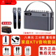 YTFY柏林之聲戶外音響家庭KTV音響設(shè)備套裝便攜式K歌直播樂器聲卡音箱 音響+雙麥+音響包