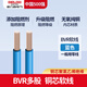德力西電氣 DELIXI ELECTRIC電線電纜國標(biāo)純銅BV/BVR銅芯線4/6/10/16平單芯硬線電源線 國標(biāo)足米 BVR軟線（藍(lán)色） 6m㎡（1米）