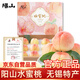 京地達(dá)陽(yáng)山水蜜桃無(wú)錫水蜜桃特產(chǎn)8枚單果250g+新鮮桃子水果禮盒源頭直發(fā)