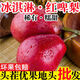 【稀有品種】正宗紅啤梨新鮮梨子軟糯香甜應(yīng)季水果紅皮啤酒梨整箱 5斤大果