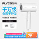飛科（FLYCO）負(fù)離子電吹風(fēng)機(jī)家用便攜出游速干冷熱風(fēng)大功率吹風(fēng)筒FH6276