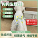 OIMG狗狗生理褲母狗例假褲衛(wèi)生姨媽安全褲母犬月經(jīng)超薄小型犬狗安全褲 M碼 【腰圍26-32cm 適合3-5斤】 黃色樹葉生理褲