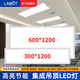 拉伯塔集成吊燈三防led長條燈1200x300潔凈平板燈凈化照明燈30x120商用 【300x1200】48瓦-白光6500K